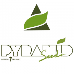 Pyramid Seeds