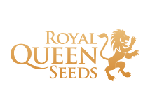 Royal Queen Seeds