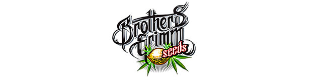 Brothers Grimm Seed