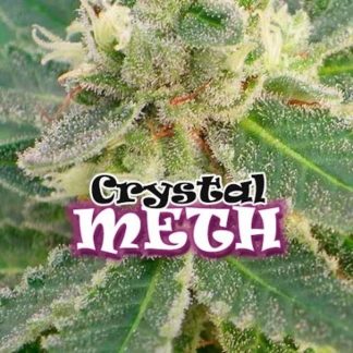 Crystal Meth