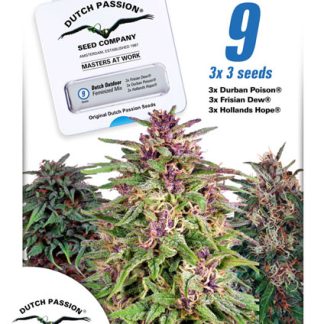 Dutch Passion Dutch outdoor mix Seeds