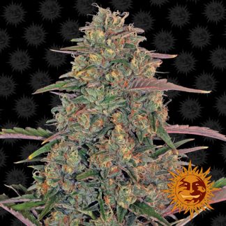 Pineapple Chunk
