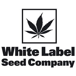 White Label