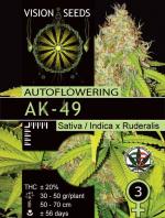 AK49 Auto