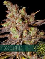 Chocoloco