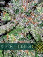Doctor Jamaica