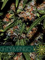 Mighty Mango Bud