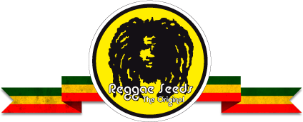 Reggae Seeds
