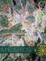 Tom Kush OG