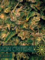 Vision Critical Auto