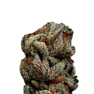 Blue Cheese Wietzaden