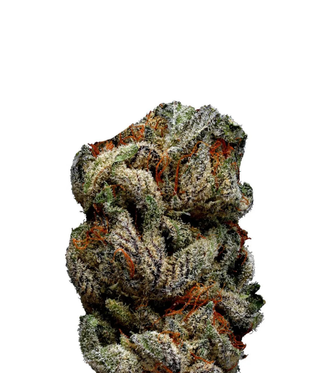 Blue Cheese Wietzaden