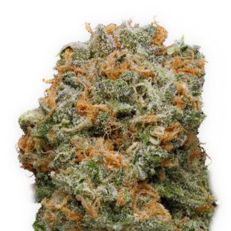 Blue Dream gefeminiseerde wietzaden