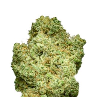 Bruce Banner XL WietZaden