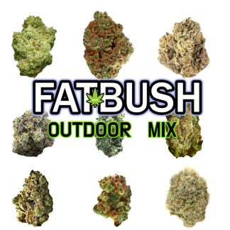 Outdoor Feminised Mix 20 Seeds
