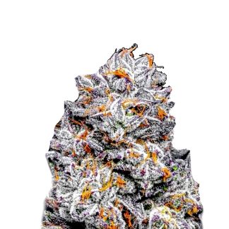 Sunset Sherbet