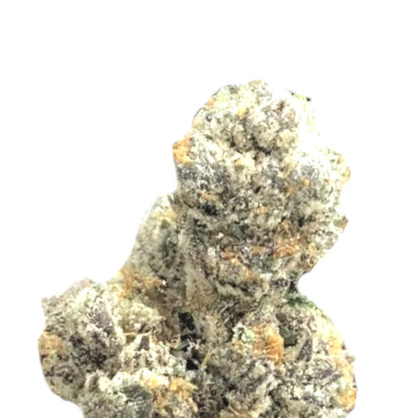 Super Silver Haze Zaden