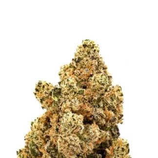 kush afghan