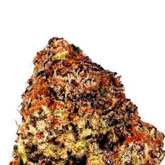 Purple Punch Auto