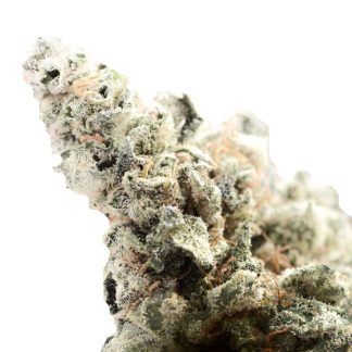 CBD Bulk zaden 20%