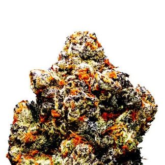 Monster Cookies Car