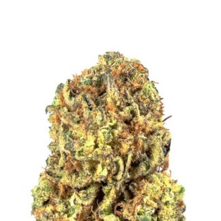 NYC Diesel