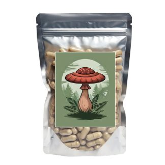 Reishi Capsules