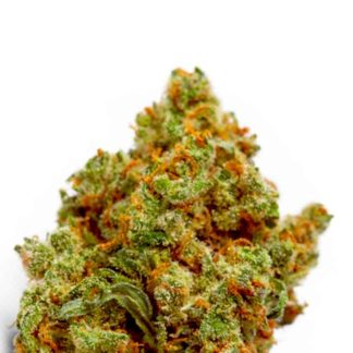 Critical Mass