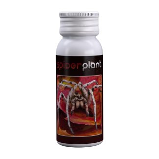 Spider Plant 15 ml