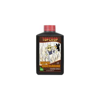 Deeper Underground 1L