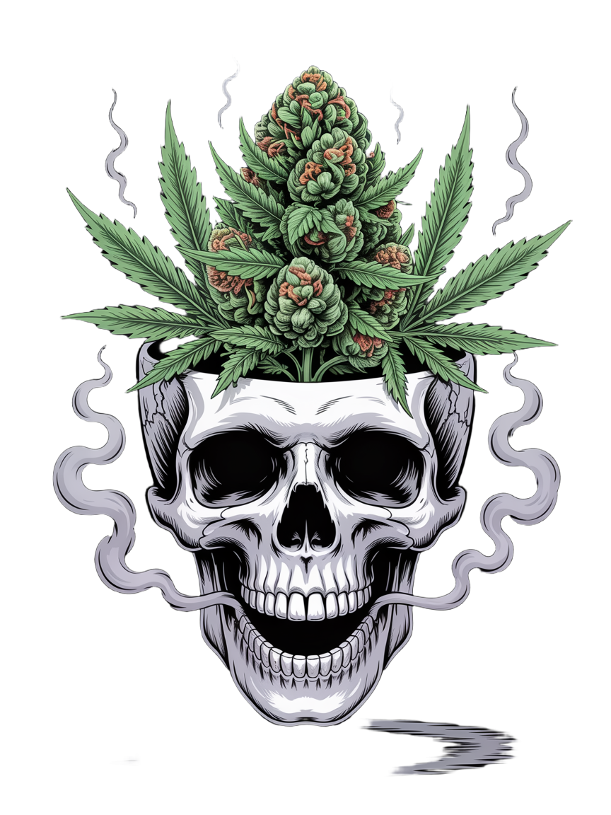 Autoflowers met een hoog THC-gehalte